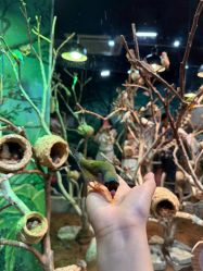 -Zoolung Zoolung动物主题公园(海信广场店)