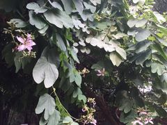 -茂德公草堂