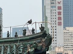 -白塔山公园