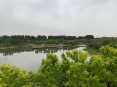 -东郊湿地公园