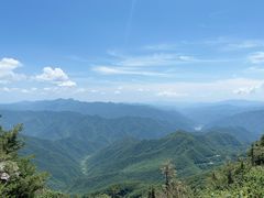 -牛背梁国家森林公园