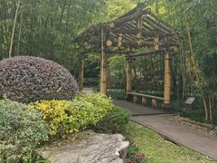 -望江楼公园