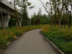 -桤木河湿地公园