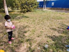 -永定河休闲森林公园