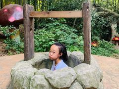 -天目湖山水园