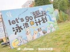 -趣玩宠物乐园寄养训犬训狗游泳池