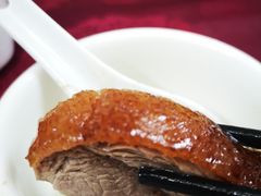 -姚林轩