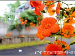 -宏状元现熬粥·京味菜(三里河店)