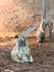 -Zoolung Zoolung动物主题公园(海信广场店)
