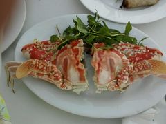 -越海渔村