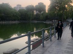 -莲湖公园