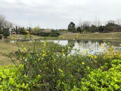 -两河城市森林公园