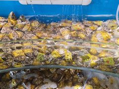 -四海蒸鲜蒸汽海鲜自助(北戴河店)