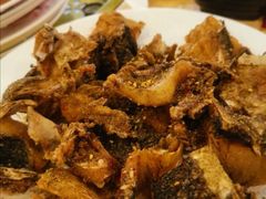 -活鱼馆(宜兴埠店)