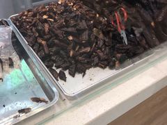 -都士牧人现烤牛肉干