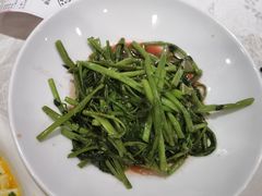 南乳空心菜-三玛璐酒楼(汉口路店)