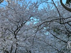 -苏州上方山国家森林公园