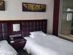 -上海浦东绿地铂骊酒店