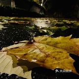 加上大雾,能见度不到30米,但丝毫没有影响我们的心情