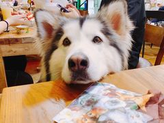 -李小姐の猫咖啡馆(五角场店)