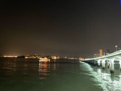 -演武大桥观景平台