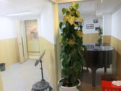 -柏斯琴行(汾阳店)
