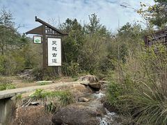 -浙西天池景区