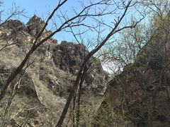 -大岭沟猕猴桃谷风景区