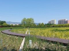 -永定河休闲森林公园