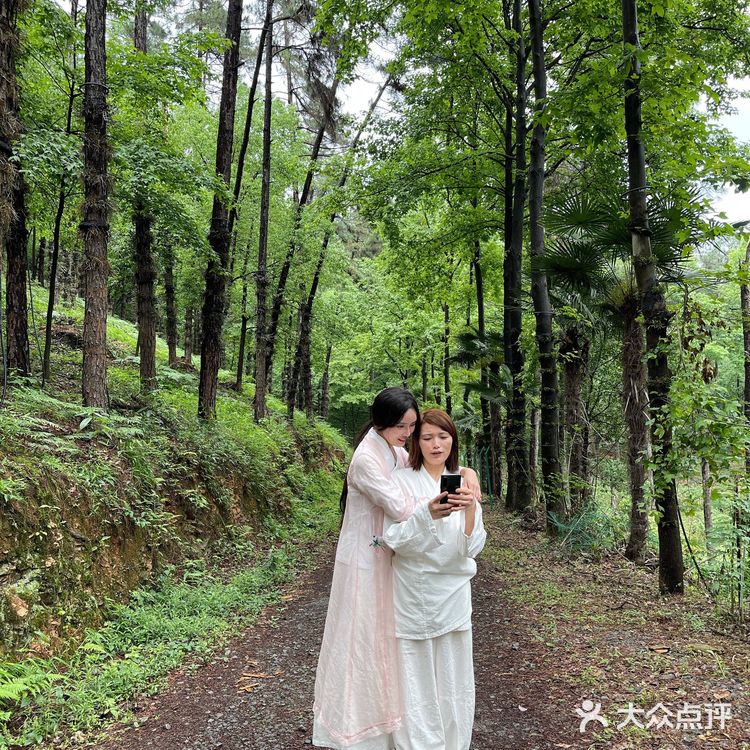 杭州绝美森林酒店——不是居.林 💞疗愈之旅🌈