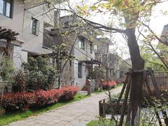 -田园东方蜜桃村的田野营地