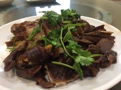 -肥信潮菜(科新路店)
