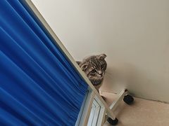 -佳雯宠物医院·皮肤科·内外科(春晓路分院)