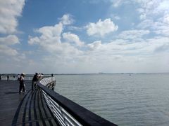 -贡湖湾湿地公园