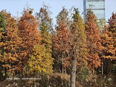 -艾溪湖湿地公园