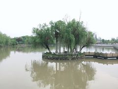 -八大山人梅湖景区