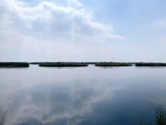 -苏州太湖湖滨国家湿地公园