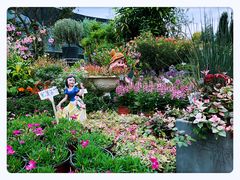 -三圣花乡旅游区