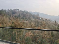 -黄陂区野村谷景区