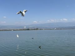 -西昌邛海湿地