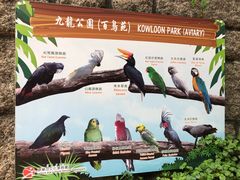 -九龙公园
