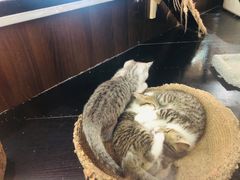 -弓舍射箭俱乐部(高新总店)