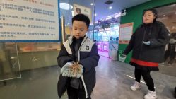 点击看大图 -神奇动物撸宠馆·羊驼·小浣熊·异宠(豫园店)