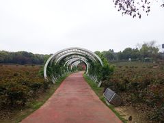 -天生桥景区