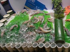 -星伦多自助料理·涮烤一体(虹悦城店)