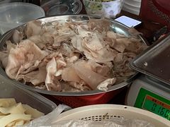-邓氏大薄片
