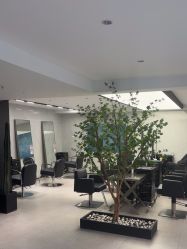 -付军剪艺JF ProSalon