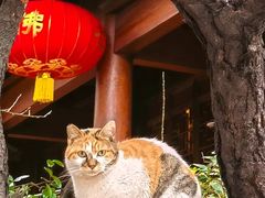 -龙华寺