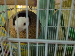 -南宫五洲植物乐园