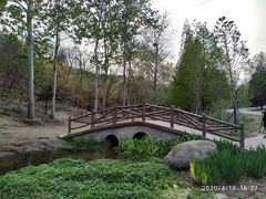 -白水寺森林公园